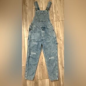 Rose Sandrine x free people denim overalls